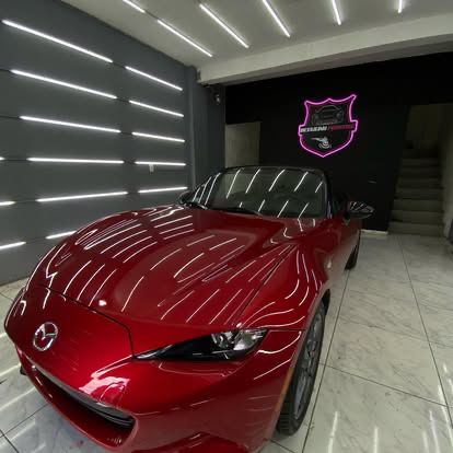 servicio de exteriores