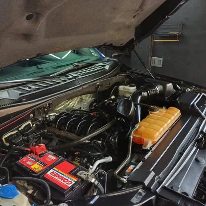 servicio de exteriores