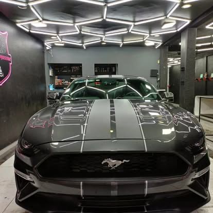 servicio de exteriores