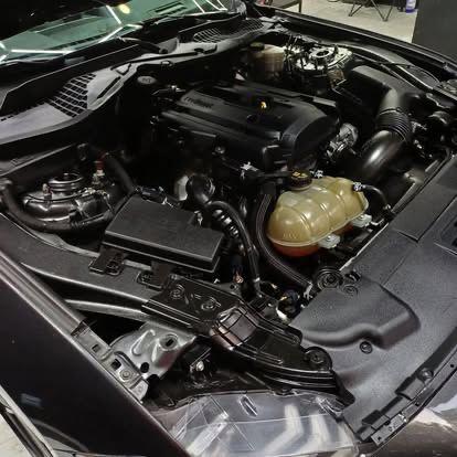 servicio de exteriores